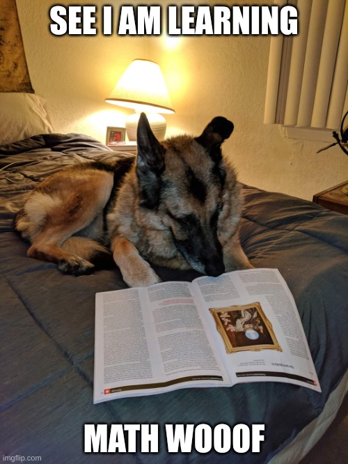 Dog Reading Magazine | SEE I AM LEARNING; MATH WOOOF | image tagged in dog reading magazine | made w/ Imgflip meme maker