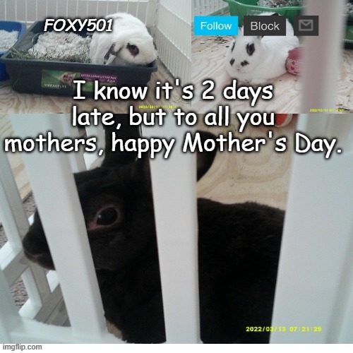 Foxy501 announcement template | I know it's 2 days late, but to all you mothers, happy Mother's Day. | image tagged in foxy501 announcement template | made w/ Imgflip meme maker