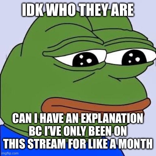 pepe | IDK WHO THEY ARE CAN I HAVE AN EXPLANATION BC I’VE ONLY BEEN ON THIS STREAM FOR LIKE A MONTH | image tagged in pepe | made w/ Imgflip meme maker