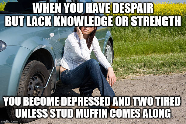 Fishing for real men. | WHEN YOU HAVE DESPAIR BUT LACK KNOWLEDGE OR STRENGTH; YOU BECOME DEPRESSED AND TWO TIRED 
UNLESS STUD MUFFIN COMES ALONG | image tagged in flat tire,puns | made w/ Imgflip meme maker