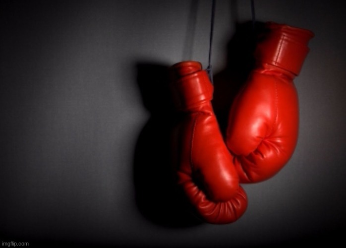 boxing gloves | image tagged in boxing gloves | made w/ Imgflip meme maker