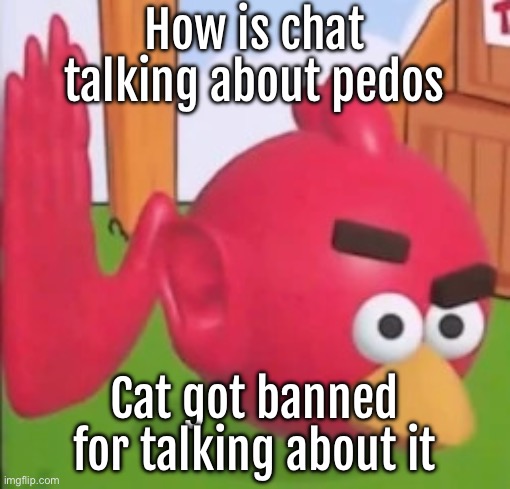 He left because of it | How is chat talking about pedos; Cat got banned for talking about it | image tagged in auughahingiya | made w/ Imgflip meme maker