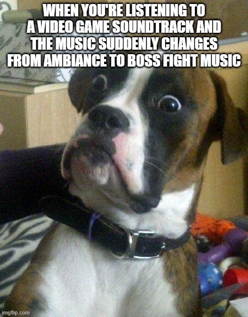 This might just be me, because one time I was listening to my Spotify playlist and boss fight music started playing | WHEN YOU'RE LISTENING TO A VIDEO GAME SOUNDTRACK AND THE MUSIC SUDDENLY CHANGES FROM AMBIANCE TO BOSS FIGHT MUSIC | image tagged in surprised dog | made w/ Imgflip meme maker