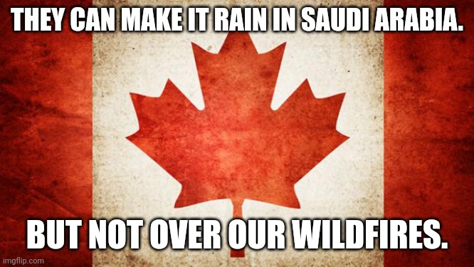 Sus. | THEY CAN MAKE IT RAIN IN SAUDI ARABIA. BUT NOT OVER OUR WILDFIRES. | image tagged in canada,meanwhile in canada | made w/ Imgflip meme maker