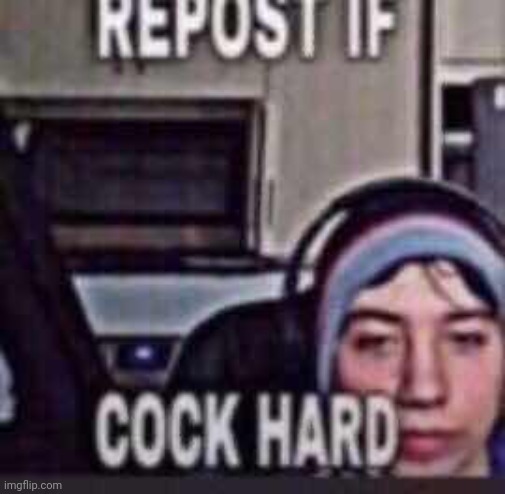 Repost if cock hard | image tagged in repost if cock hard | made w/ Imgflip meme maker