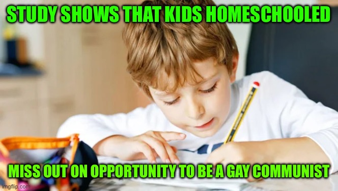 Home School Kid | STUDY SHOWS THAT KIDS HOMESCHOOLED; MISS OUT ON OPPORTUNITY TO BE A GAY COMMUNIST | image tagged in home school kid | made w/ Imgflip meme maker