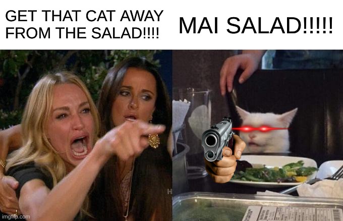 Woman Yelling At Cat | GET THAT CAT AWAY FROM THE SALAD!!!! MAI SALAD!!!!! | image tagged in memes,woman yelling at cat | made w/ Imgflip meme maker