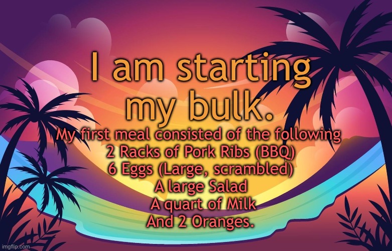 Trez (Summer) | I am starting my bulk. My first meal consisted of the following 
2 Racks of Pork Ribs (BBQ)
6 Eggs (Large, scrambled)
A large Salad
 A quart of Milk
And 2 Oranges. | image tagged in trez summer | made w/ Imgflip meme maker