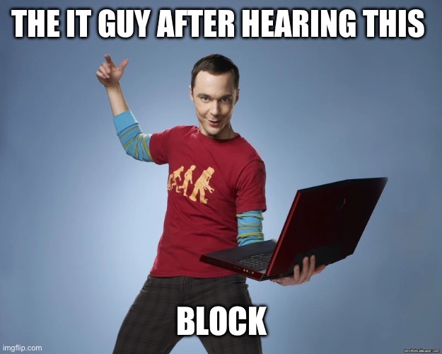 sheldon cooper laptop | THE IT GUY AFTER HEARING THIS BLOCK | image tagged in sheldon cooper laptop | made w/ Imgflip meme maker