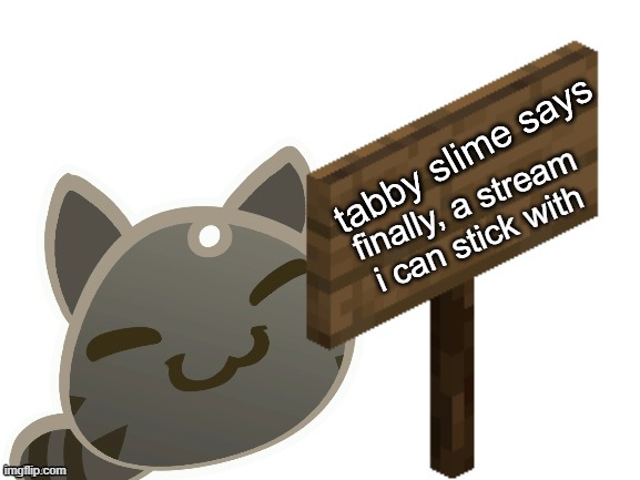 Tabby Slime Says | finally, a stream i can stick with | image tagged in tabby slime says | made w/ Imgflip meme maker