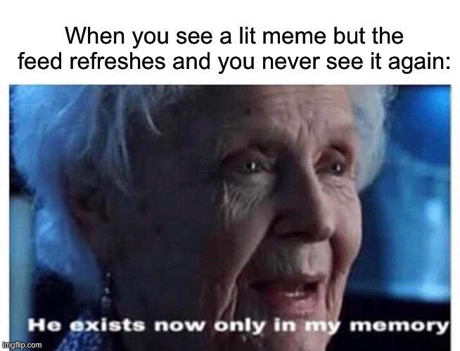 Memory of a meme | When you see a lit meme but the feed refreshes and you never see it again: | image tagged in he exists now only in my memory,memes,meme,lit | made w/ Imgflip meme maker