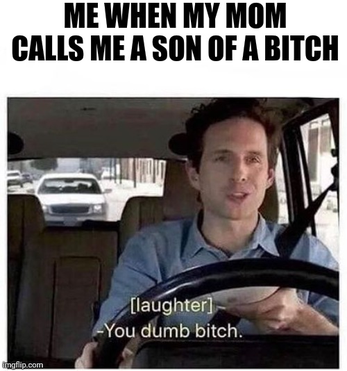 You dumb bitch | ME WHEN MY MOM CALLS ME A SON OF A BITCH | image tagged in you dumb bitch | made w/ Imgflip meme maker