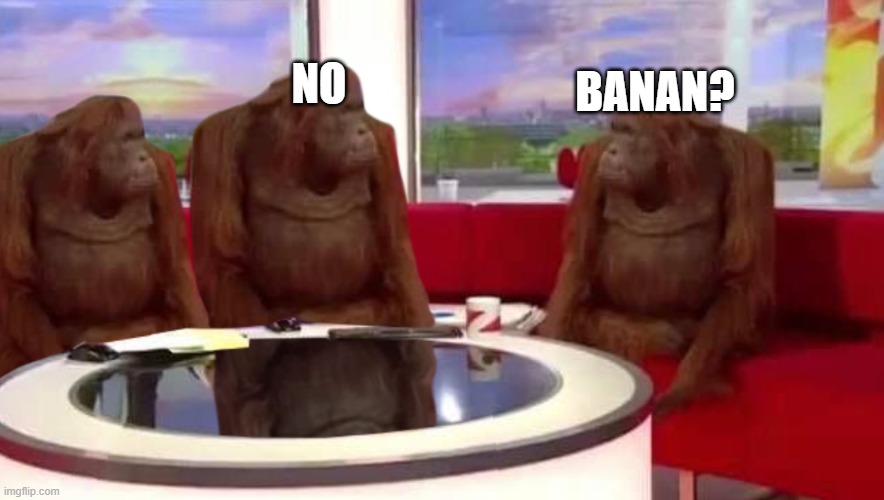 where monkey | NO; BANAN? | image tagged in where monkey | made w/ Imgflip meme maker