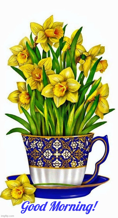 Good Morning Daffodils | Good Morning! | image tagged in daffodils,teacup,good morning | made w/ Imgflip meme maker