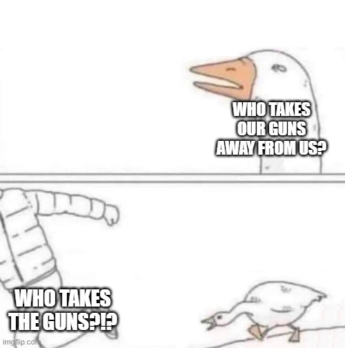 Who takes them? | WHO TAKES OUR GUNS AWAY FROM US? WHO TAKES THE GUNS?!? | image tagged in goose chase | made w/ Imgflip meme maker