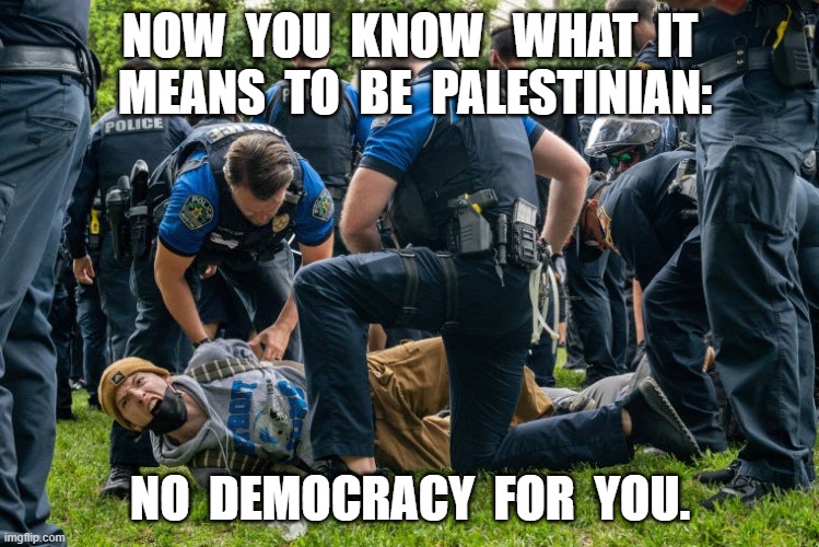 No Democracy | NOW  YOU  KNOW   WHAT  IT  MEANS  TO  BE  PALESTINIAN:; NO  DEMOCRACY  FOR  YOU. | image tagged in protests | made w/ Imgflip meme maker