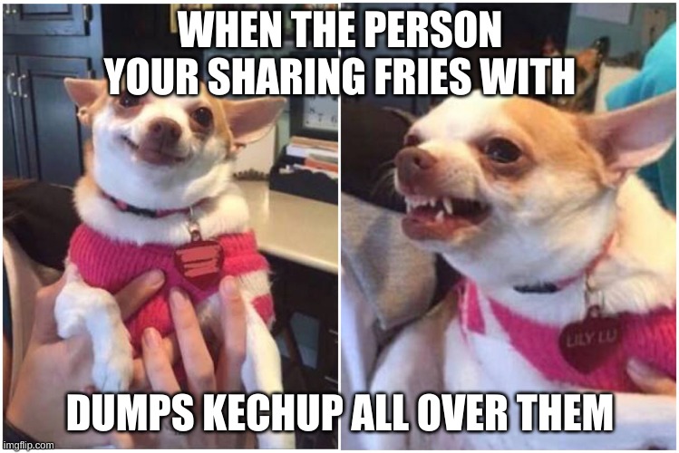 Happy chihuahua angry chihuahua  | WHEN THE PERSON YOUR SHARING FRIES WITH; DUMPS KECHUP ALL OVER THEM | image tagged in happy chihuahua angry chihuahua | made w/ Imgflip meme maker