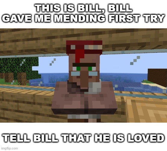 he is very special | THIS IS BILL, BILL GAVE ME MENDING FIRST TRY; TELL BILL THAT HE IS LOVED | image tagged in minecraft,villager | made w/ Imgflip meme maker