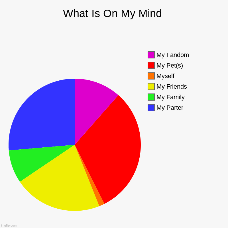 What is on my mind | What Is On My Mind | My Parter, My Family, My Friends, Myself, My Pet(s), My Fandom | image tagged in charts,pie charts | made w/ Imgflip chart maker