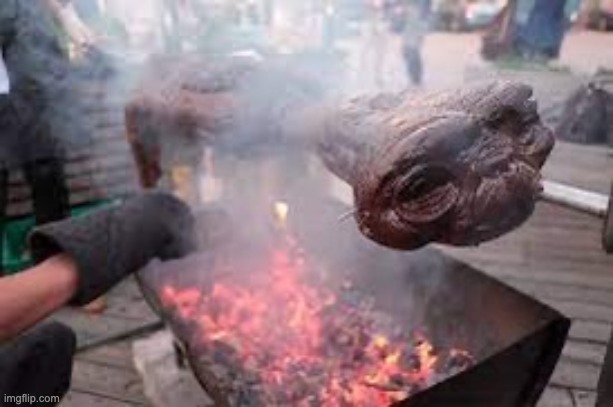 et roasting on a spit | image tagged in et roasting on a spit | made w/ Imgflip meme maker
