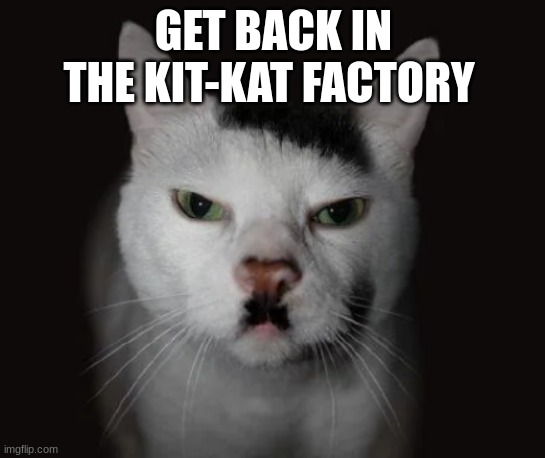 GET BACK TO WORK | GET BACK IN THE KIT-KAT FACTORY | image tagged in kitler | made w/ Imgflip meme maker
