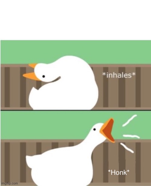 Untitled goose game honk | *Honk* | image tagged in untitled goose game honk | made w/ Imgflip meme maker