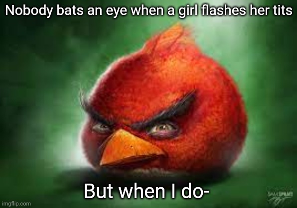 Realistic Red Angry Birds | Nobody bats an eye when a girl flashes her tits; But when I do- | image tagged in realistic red angry birds | made w/ Imgflip meme maker