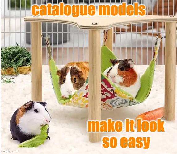 catalogue models make it look
so easy | made w/ Imgflip meme maker