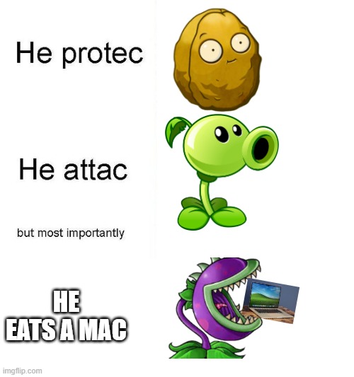 he protec | HE EATS A MAC | image tagged in he protec | made w/ Imgflip meme maker