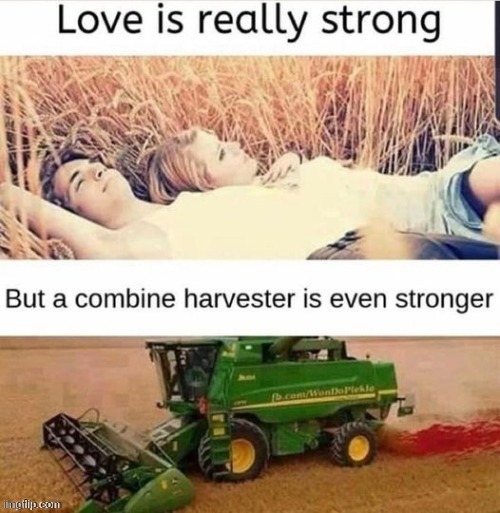 No love | made w/ Imgflip meme maker