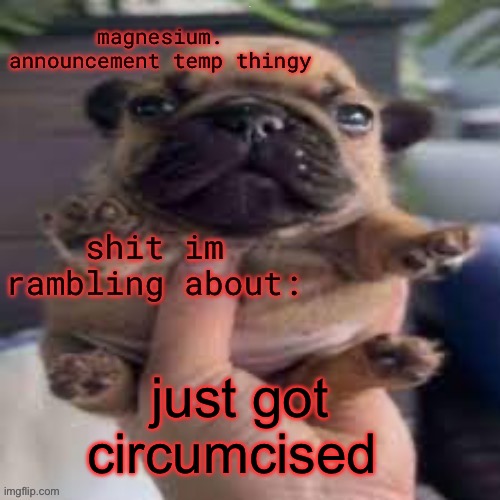 pug temp | JK TF; just got circumcised | image tagged in pug temp | made w/ Imgflip meme maker
