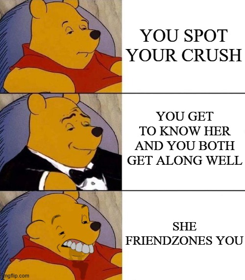 Childhood crushes be like: | YOU SPOT YOUR CRUSH; YOU GET TO KNOW HER AND YOU BOTH GET ALONG WELL; SHE FRIENDZONES YOU | image tagged in best better blurst,crush,friendzoned,childhood,crushes,dank meme | made w/ Imgflip meme maker