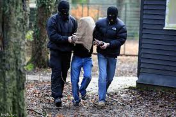 Kidnapping | image tagged in kidnapping | made w/ Imgflip meme maker