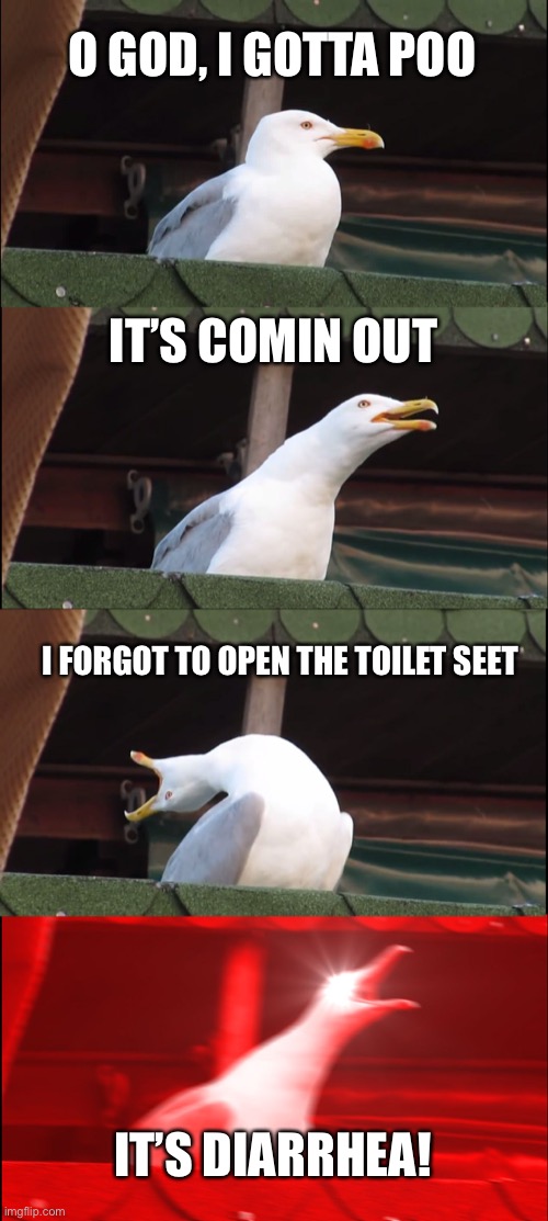 Inhaling Seagull | O GOD, I GOTTA POO; IT’S COMIN OUT; I FORGOT TO OPEN THE TOILET SEET; IT’S DIARRHEA! | image tagged in memes,inhaling seagull | made w/ Imgflip meme maker