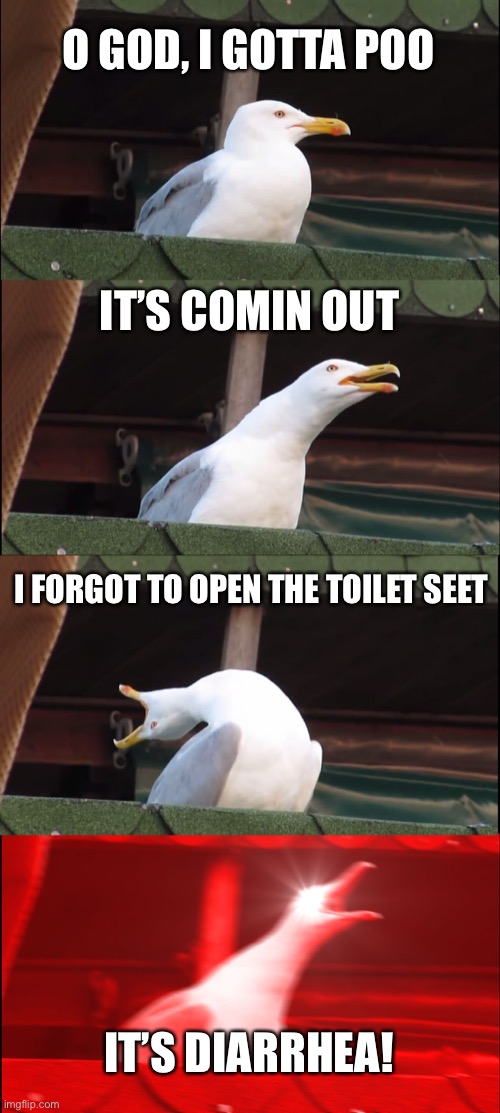 Inhaling Seagull Meme | O GOD, I GOTTA POO; IT’S COMIN OUT; I FORGOT TO OPEN THE TOILET SEET; IT’S DIARRHEA! | image tagged in memes,inhaling seagull | made w/ Imgflip meme maker