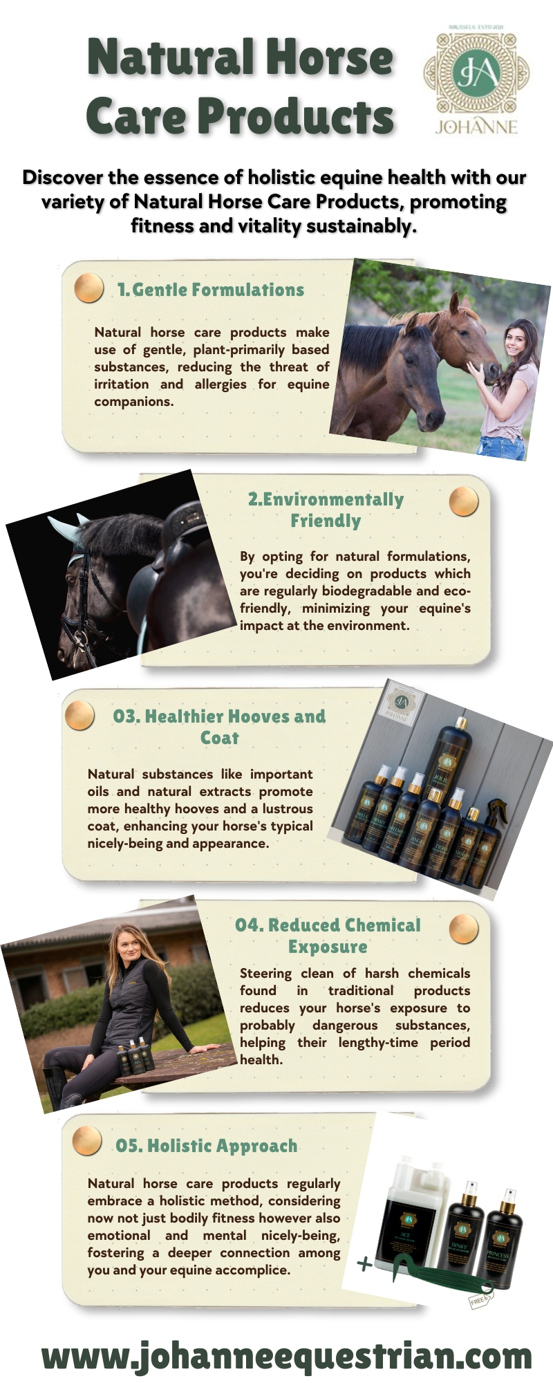 Natural Horse Care Products Blank Meme Template