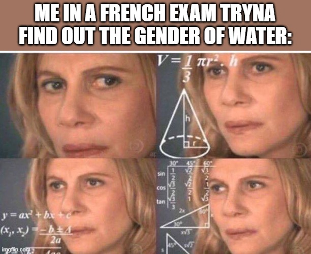 title | ME IN A FRENCH EXAM TRYNA FIND OUT THE GENDER OF WATER: | image tagged in math lady/confused lady | made w/ Imgflip meme maker