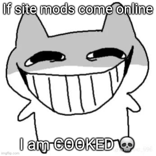 hihi | If site mods come online; I am COOKED 💀 | image tagged in hihi | made w/ Imgflip meme maker