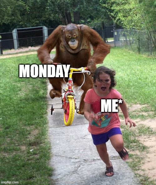 Boring monday | MONDAY; ME* | image tagged in orangutan chasing girl on a tricycle | made w/ Imgflip meme maker