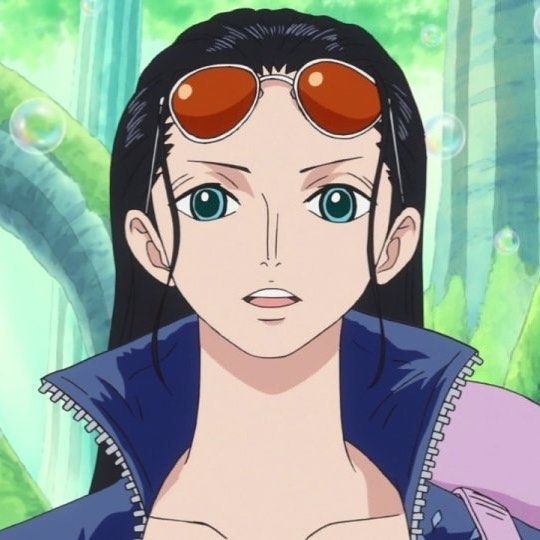 nico robin Blank Meme Template