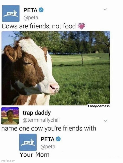 Dang | made w/ Imgflip meme maker