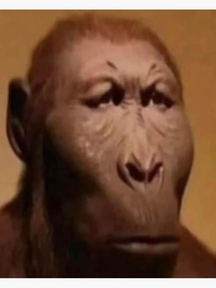 High Quality Monkey straight face Blank Meme Template