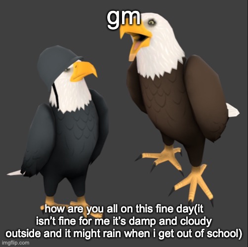 tf2 eagles | gm; how are you all on this fine day(it isn’t fine for me it’s damp and cloudy outside and it might rain when i get out of school) | image tagged in tf2 eagles | made w/ Imgflip meme maker