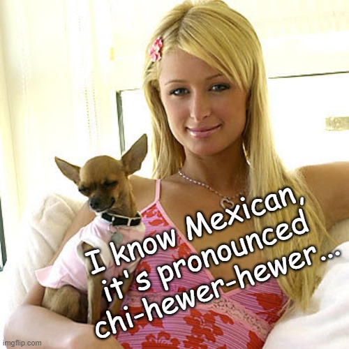 chihewerhewer | I know Mexican,
it's pronounced
chi-hewer-hewer... | image tagged in paris hilton,chihuahua,mexican,spanish,language fail | made w/ Imgflip meme maker