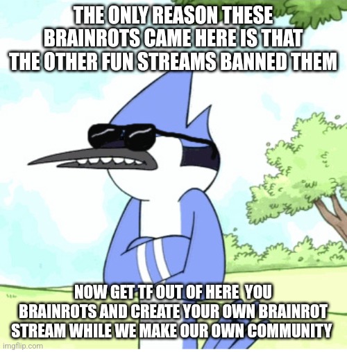 mordecai regular show shades lame | THE ONLY REASON THESE BRAINROTS CAME HERE IS THAT THE OTHER FUN STREAMS BANNED THEM; NOW GET TF OUT OF HERE  YOU BRAINROTS AND CREATE YOUR OWN BRAINROT STREAM WHILE WE MAKE OUR OWN COMMUNITY | image tagged in mordecai regular show shades lame | made w/ Imgflip meme maker