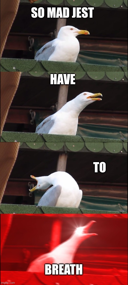 Inhaling Seagull Meme | SO MAD JEST; HAVE; TO; BREATH | image tagged in memes,inhaling seagull | made w/ Imgflip meme maker