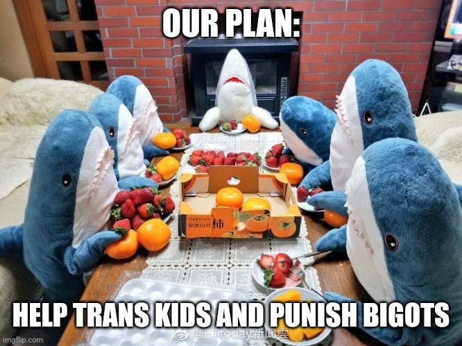 Blahaj memes | OUR PLAN:; HELP TRANS KIDS AND PUNISH BIGOTS | image tagged in blahaj meeting | made w/ Imgflip meme maker