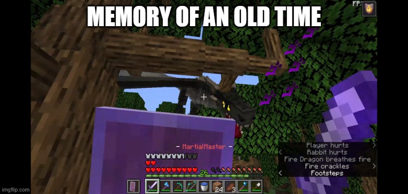 A picture of the pov of my friend when he came across... | MEMORY OF AN OLD TIME | image tagged in minecraft | made w/ Imgflip meme maker