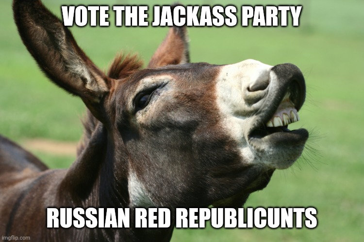 Jackass | VOTE THE JACKASS PARTY; RUSSIAN RED REPUBLICUNTS | image tagged in jackass | made w/ Imgflip meme maker