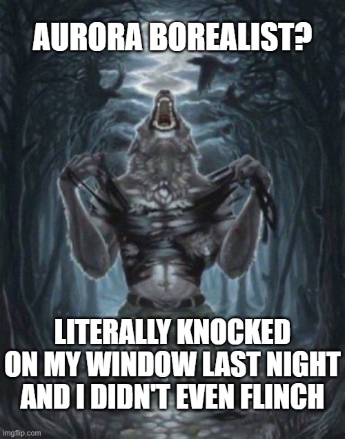 . | AURORA BOREALIST? LITERALLY KNOCKED ON MY WINDOW LAST NIGHT AND I DIDN'T EVEN FLINCH | image tagged in alpha wolf | made w/ Imgflip meme maker